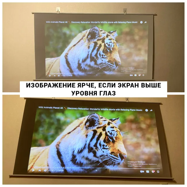 Изображение на SG100 ярче, если экран выше уровня глаз